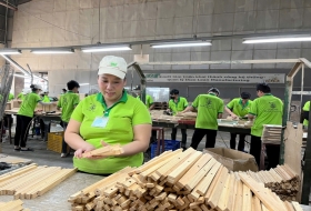 CỔ TỨC ESOP: ĐỘNG LỰC GẮN BÓ VÀ NIỀM TỰ HÀO CỦA NHÂN VIÊN GỖ ĐỨC THÀNH