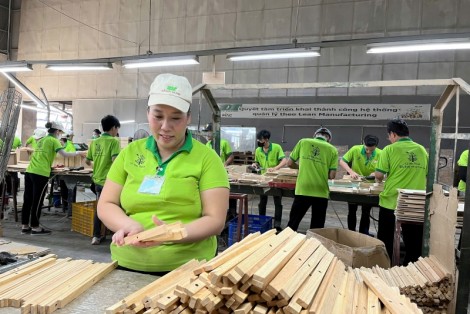 CỔ TỨC ESOP: ĐỘNG LỰC GẮN BÓ VÀ NIỀM TỰ HÀO CỦA NHÂN VIÊN GỖ ĐỨC THÀNH