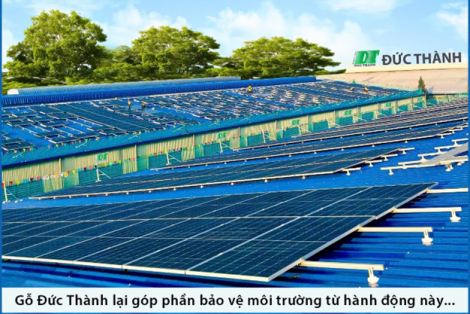 GDT- DN gỗ tiên phong áp dụng Năng Lượng Mặt Trời