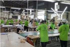 Gỗ Đức Thành chốt ngày chia cổ tức còn lại năm 2024, tiền mặt 10%