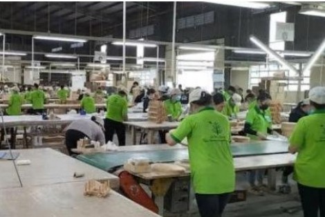 Gỗ Đức Thành chốt ngày chia cổ tức còn lại năm 2024, tiền mặt 10%