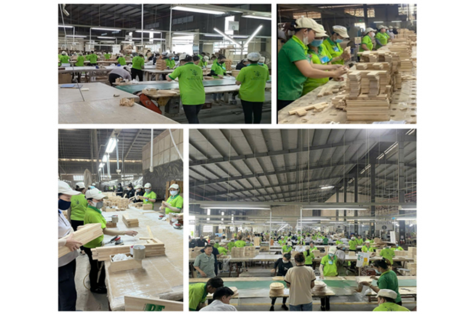 GDT & Co.op – 35 năm đồng hành lan tỏa giá trị Việt