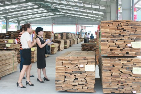 Doanh nghiệp ngành gỗ: Khởi sắc nửa đầu năm, thách thức nửa cuối năm