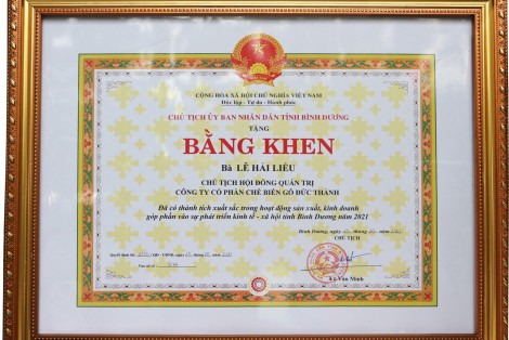Bà Lê Hải Liễu - Chủ Tịch HĐQT GDT nhận bằng khen của chủ tịch UBND tỉnh tỉnh Bình Dương