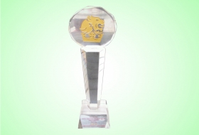 Chị Lê Hải Liễu vinh dự nhận giải thưởng Phong cách doanh nhân 2011