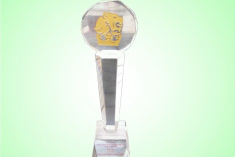 Chị Lê Hải Liễu vinh dự nhận giải thưởng Phong cách doanh nhân 2011