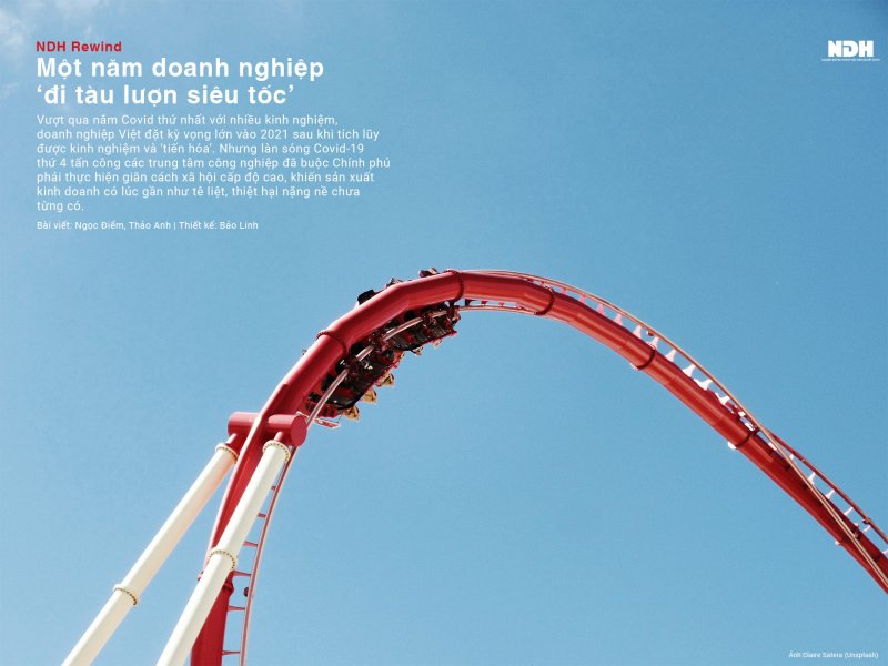 cover-d