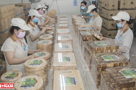 Gỗ Việt - Sức bật ngành công nghiệp xuất khẩu tỷ đô