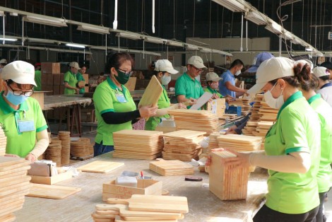 HÀNH TRÌNH TIÊN PHONG VỚI LỰA CHỌN  ĐÚNG ĐẮN TỪ NHỮNG NGÀY ĐẦU